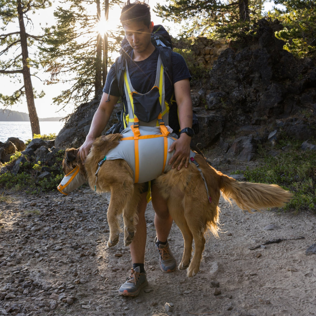 Ruffwear BackTrak Evakuierungsset – Sicheres Hunde - Rettungsgeschirr für Notfälle - Woofshack