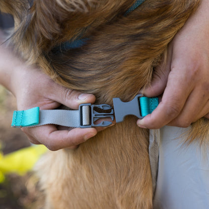 Ruffwear BackTrak Evakuierungsset – Sicheres Hunde - Rettungsgeschirr für Notfälle - Woofshack