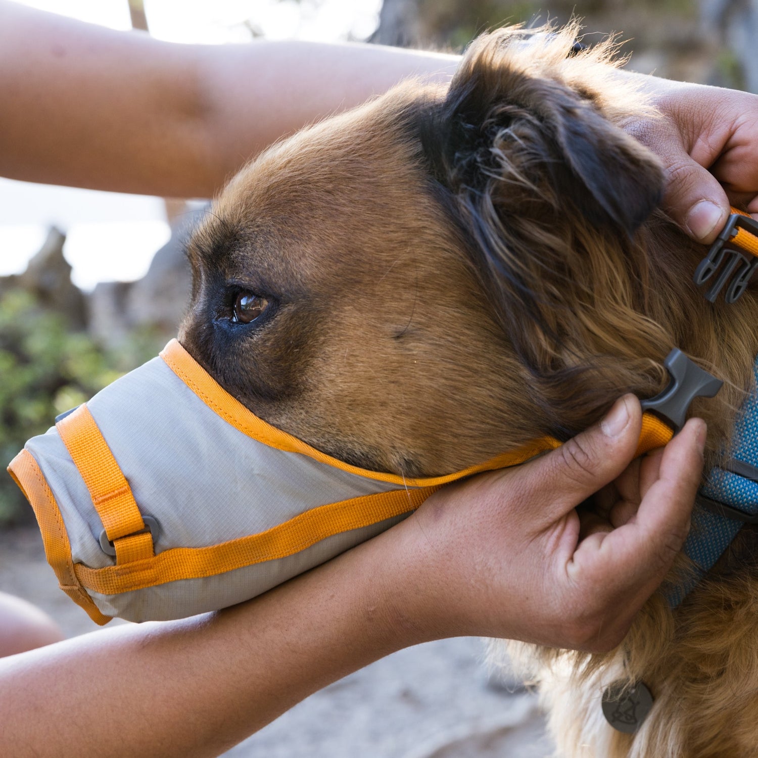 Ruffwear BackTrak Evakuierungsset – Sicheres Hunde - Rettungsgeschirr für Notfälle - Woofshack