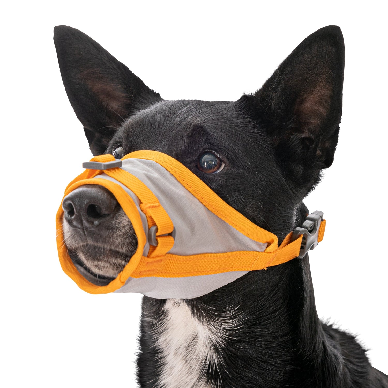 Ruffwear BackTrak Evakuierungsset – Sicheres Hunde - Rettungsgeschirr für Notfälle - Woofshack