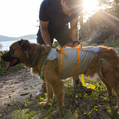 Ruffwear BackTrak Evakuierungsset – Sicheres Hunde - Rettungsgeschirr für Notfälle - Woofshack