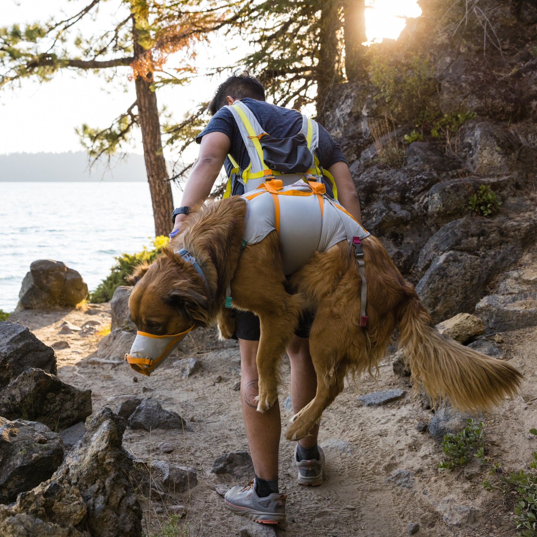 Ruffwear BackTrak Evakuierungsset – Sicheres Hunde - Rettungsgeschirr für Notfälle - Woofshack