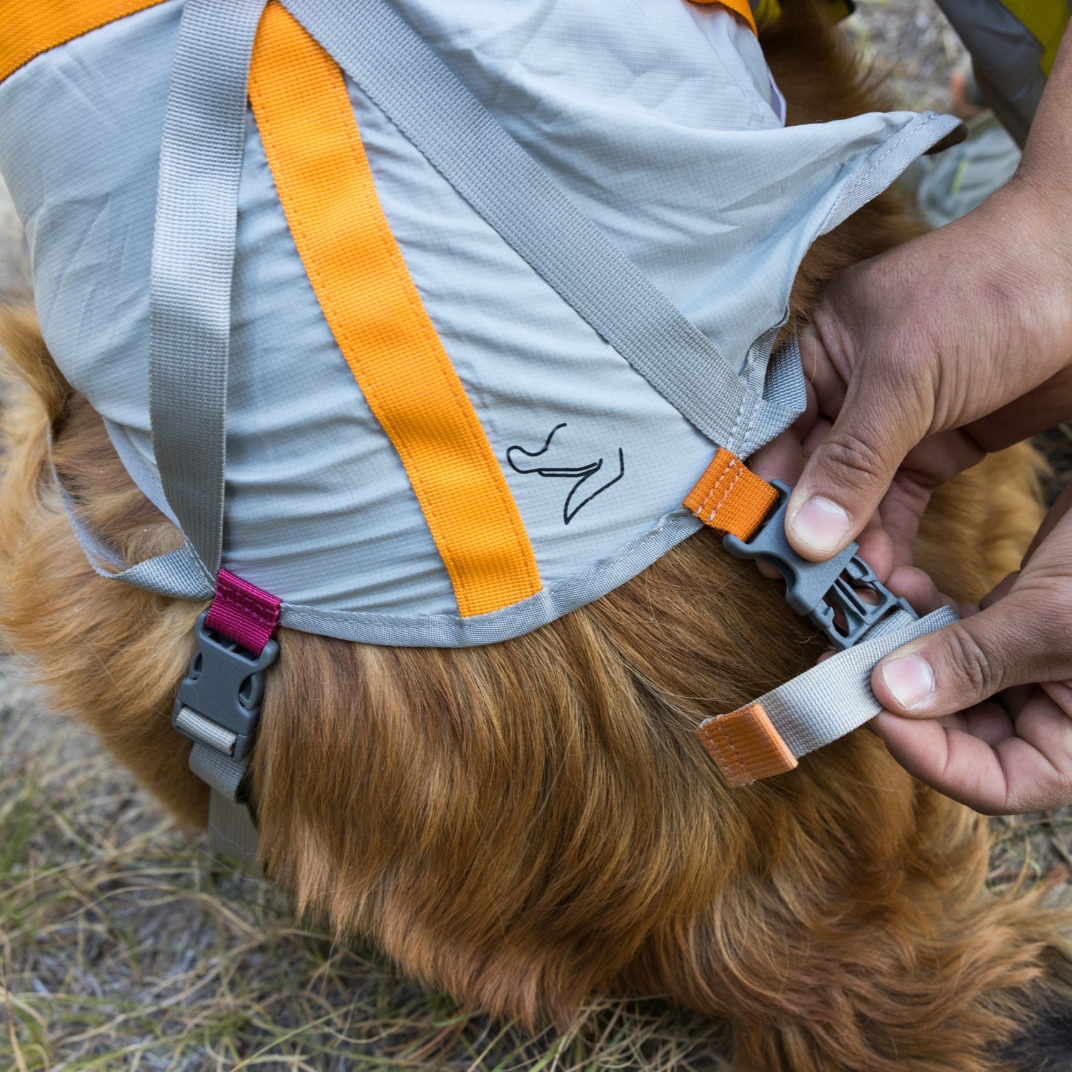 Ruffwear BackTrak Evakuierungsset – Sicheres Hunde - Rettungsgeschirr für Notfälle - Woofshack