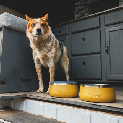 Ruffwear Basecamp Anti - Splash Insert – Spritzschutz - Einsatz für saubere Fütterung ohne Wasserverschüttung - Woofshack