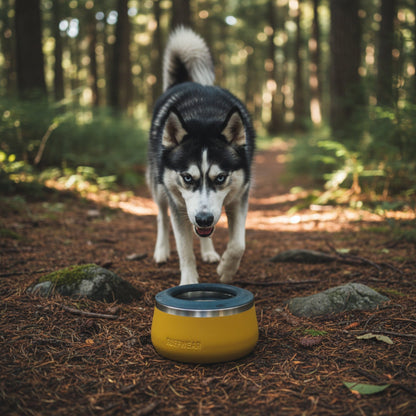 Ruffwear Basecamp Anti - Splash Insert – Spritzschutz - Einsatz für saubere Fütterung ohne Wasserverschüttung - Woofshack