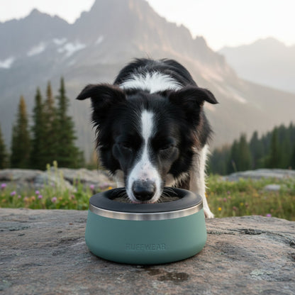 Ruffwear Basecamp Anti - Splash Insert – Spritzschutz - Einsatz für saubere Fütterung ohne Wasserverschüttung - Woofshack