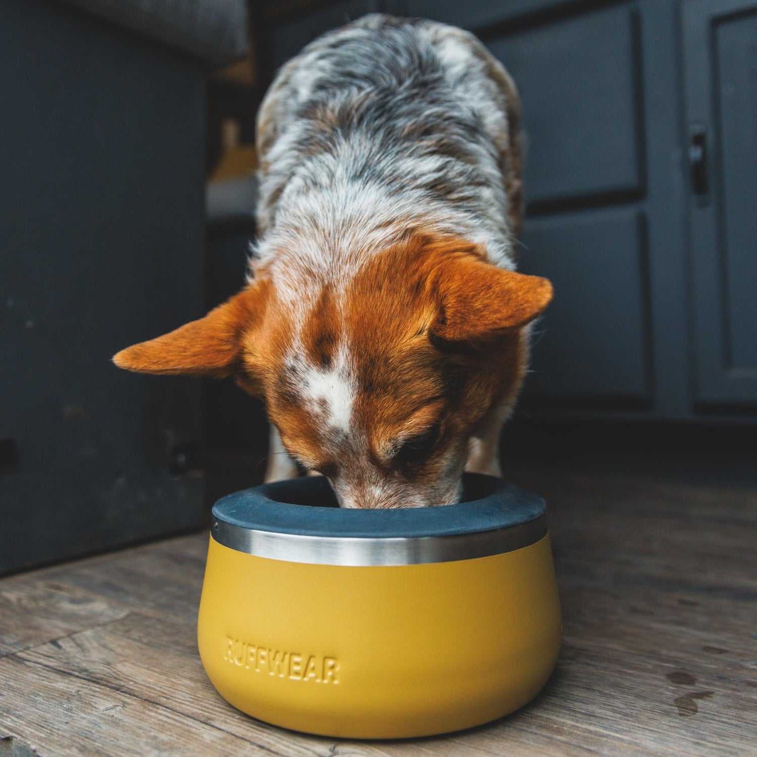 Ruffwear Basecamp Anti - Splash Insert – Spritzschutz - Einsatz für saubere Fütterung ohne Wasserverschüttung - Woofshack