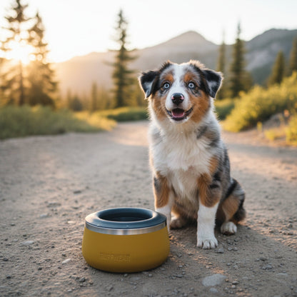 Ruffwear Basecamp Anti - Splash Insert – Spritzschutz - Einsatz für saubere Fütterung ohne Wasserverschüttung - Woofshack