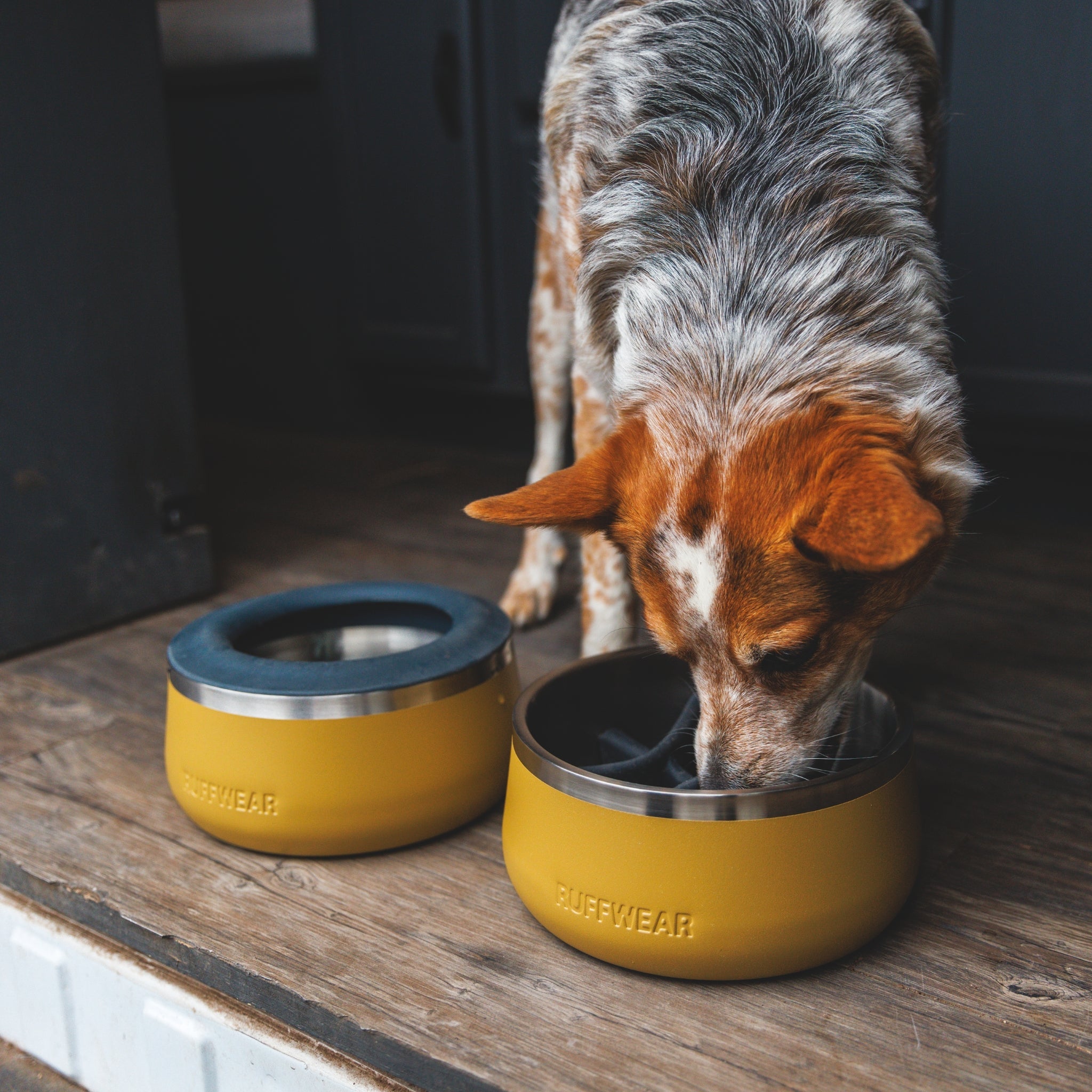 Ruffwear Basecamp Anti - Splash Insert – Spritzschutz - Einsatz für saubere Fütterung ohne Wasserverschüttung - Woofshack