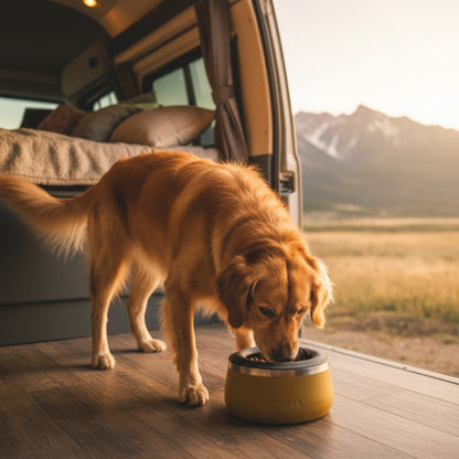 Ruffwear Basecamp Bowl – Robuster Premium Hundenapf aus Edelstahl für Outdoor-Abenteuer &amp; Zuhause