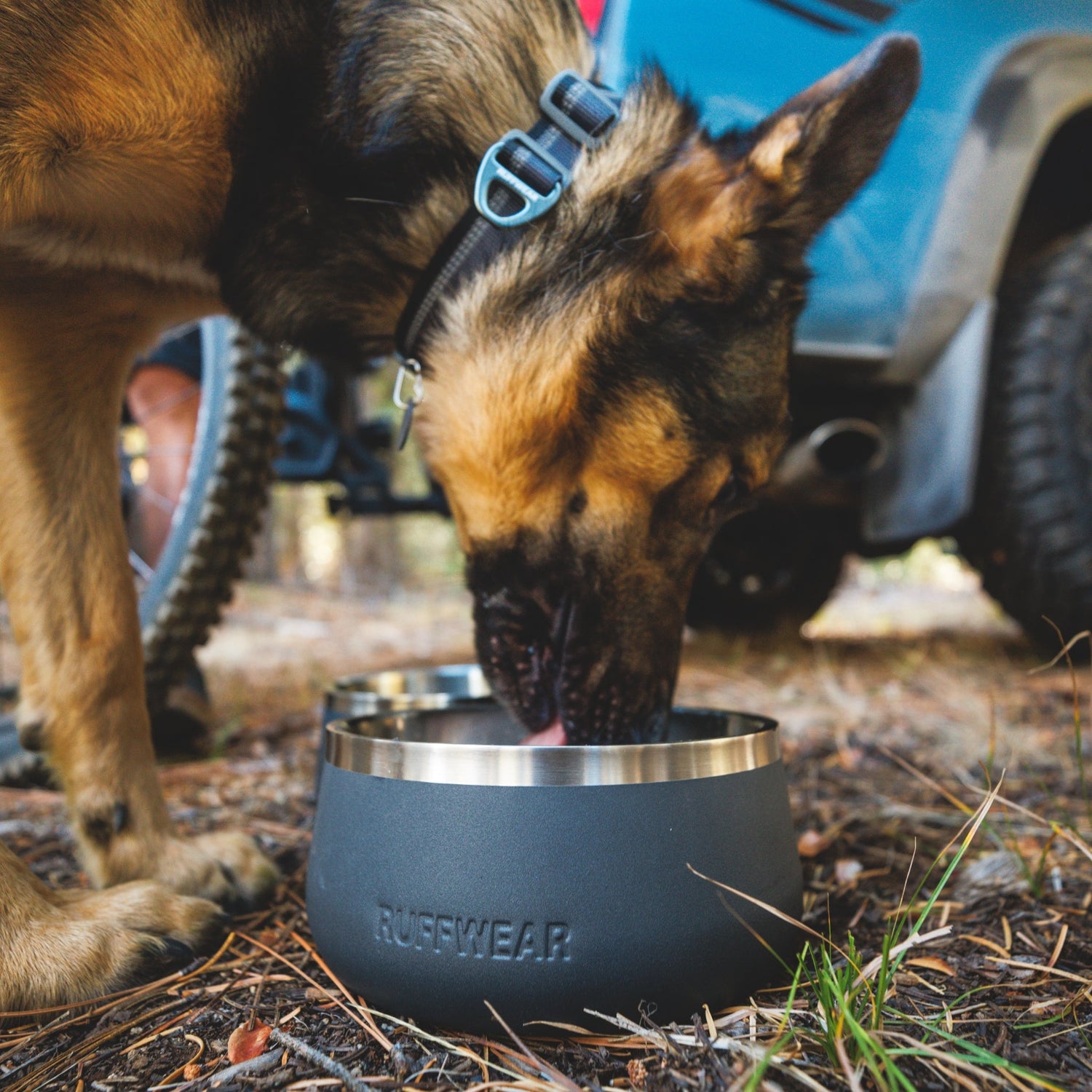 Ruffwear Basecamp Bowl – Robuster Premium Hundenapf aus Edelstahl für Outdoor - Abenteuer &amp; Zuhause - Woofshack