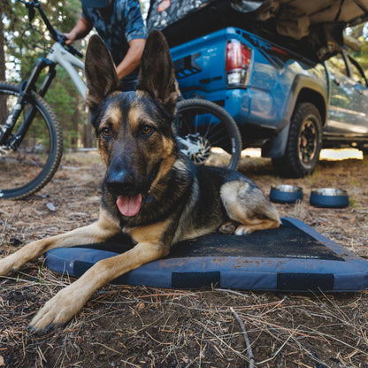 Ruffwear Basecamp Bowl – Robuster Premium Hundenapf aus Edelstahl für Outdoor - Abenteuer &amp; Zuhause - Woofshack