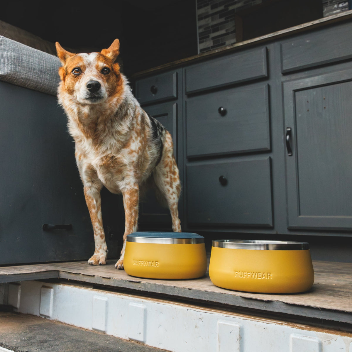 Ruffwear Basecamp Bowl – Robuster Premium Hundenapf aus Edelstahl für Outdoor - Abenteuer &amp; Zuhause - Woofshack