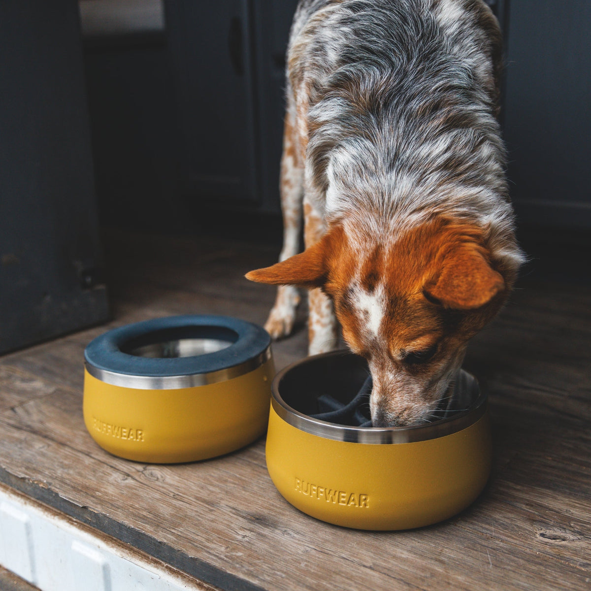 Ruffwear Basecamp Bowl – Robuster Premium Hundenapf aus Edelstahl für Outdoor - Abenteuer &amp; Zuhause - Woofshack