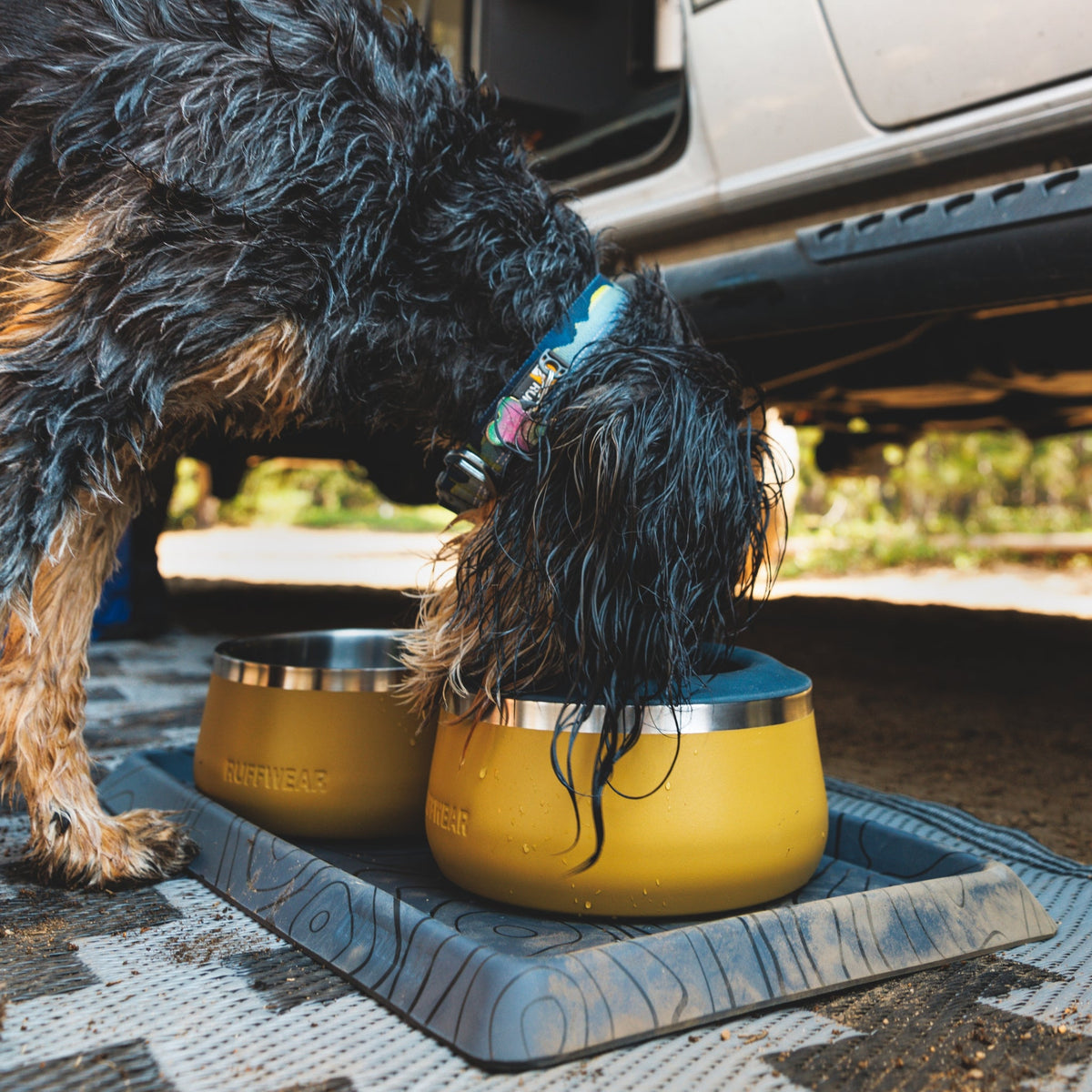 Ruffwear Basecamp Bowl – Robuster Premium Hundenapf aus Edelstahl für Outdoor - Abenteuer &amp; Zuhause - Woofshack