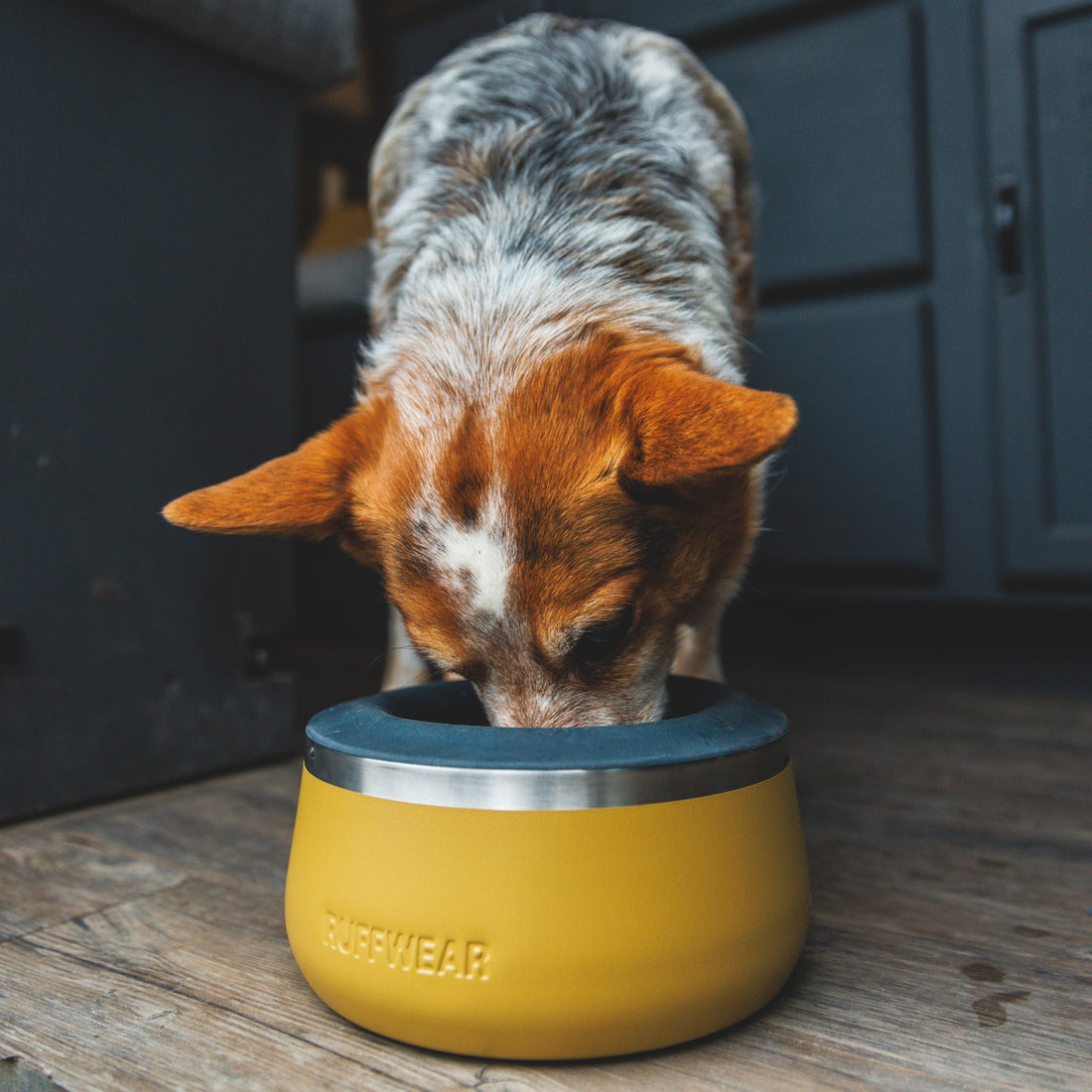 Ruffwear Basecamp Bowl – Robuster Premium Hundenapf aus Edelstahl für Outdoor - Abenteuer &amp; Zuhause - Woofshack