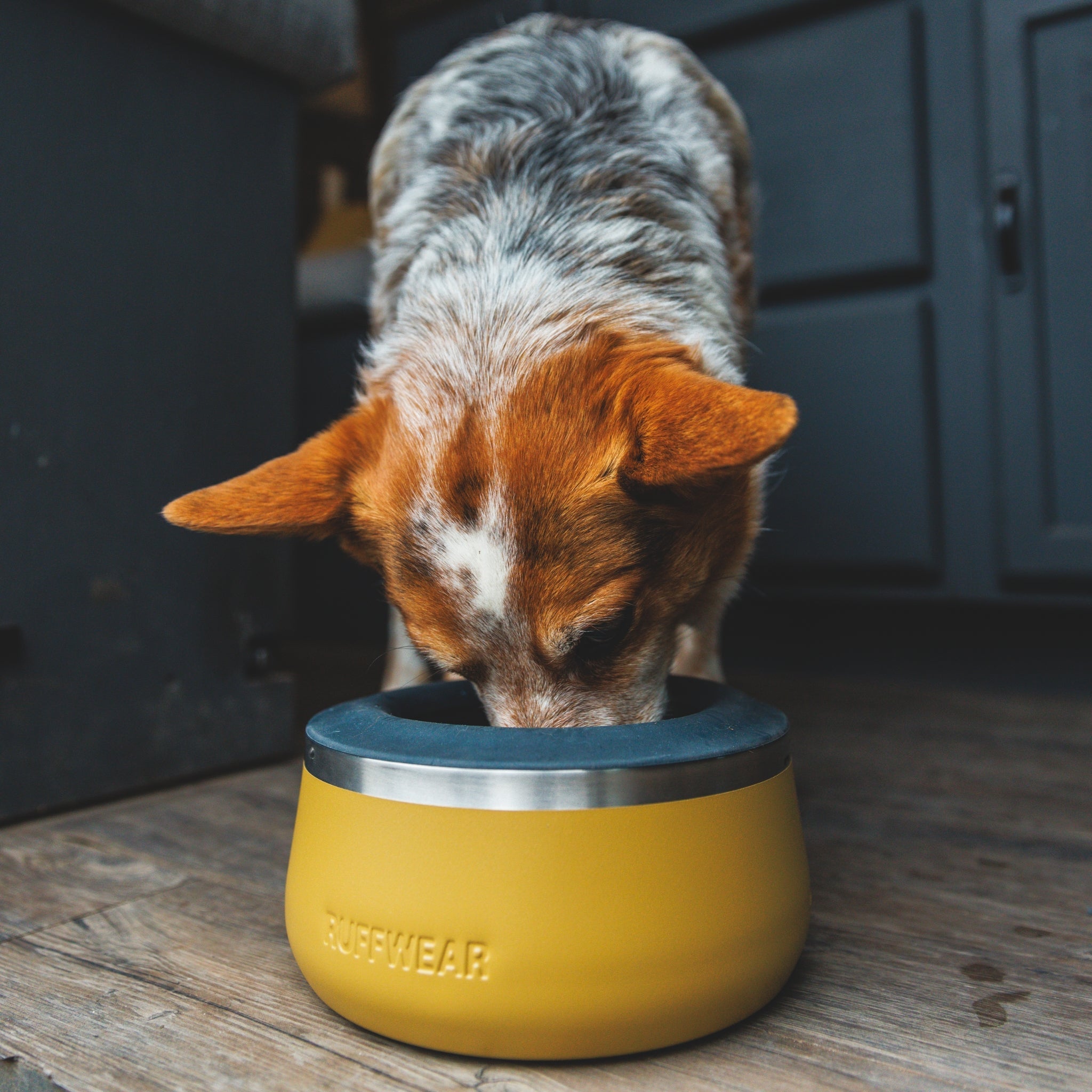Ruffwear Basecamp Bowl – Robuster Premium Hundenapf aus Edelstahl für Outdoor - Abenteuer &amp; Zuhause - Woofshack
