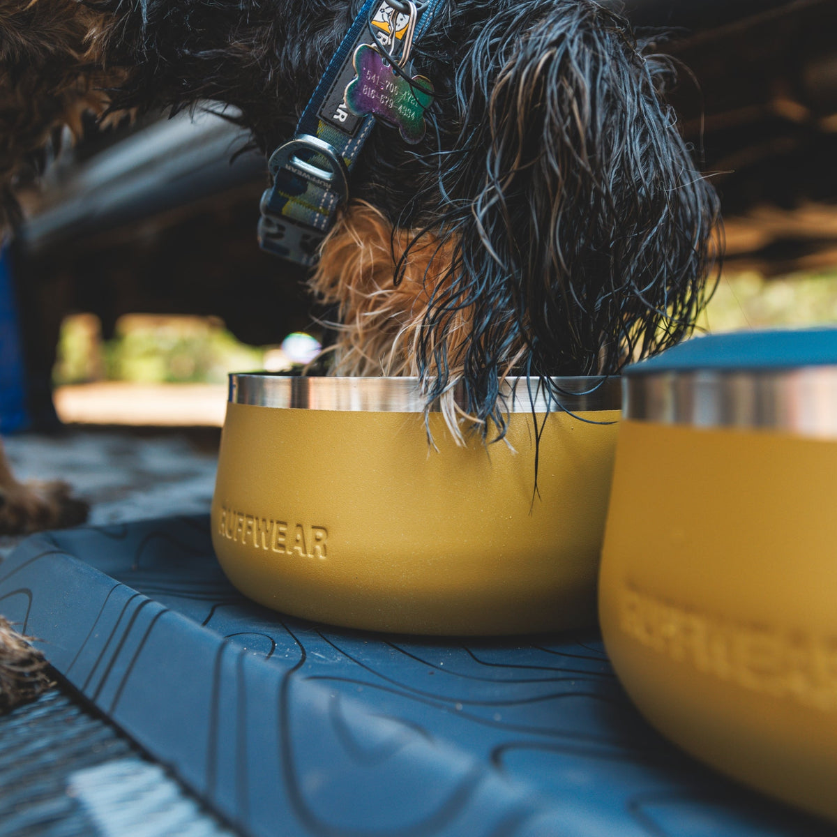 Ruffwear Basecamp Bowl – Robuster Premium Hundenapf aus Edelstahl für Outdoor - Abenteuer &amp; Zuhause - Woofshack