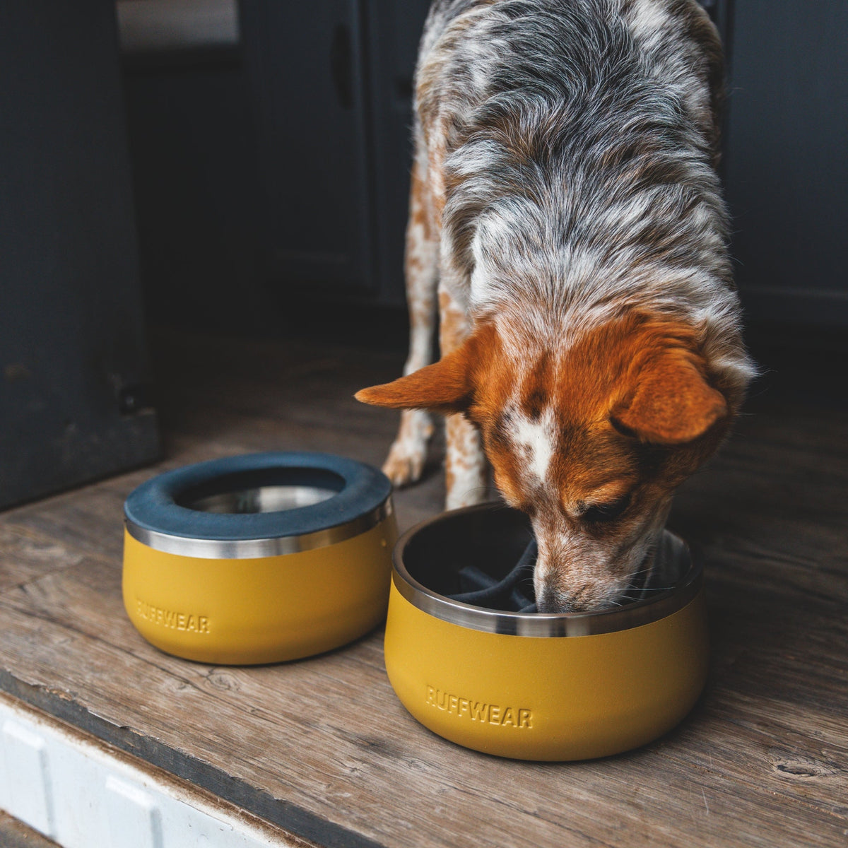 Ruffwear Basecamp Slow Feeder Insert – Anti - Schling - Einsatz für gesünderes Fressen &amp; bessere Verdauung - Woofshack
