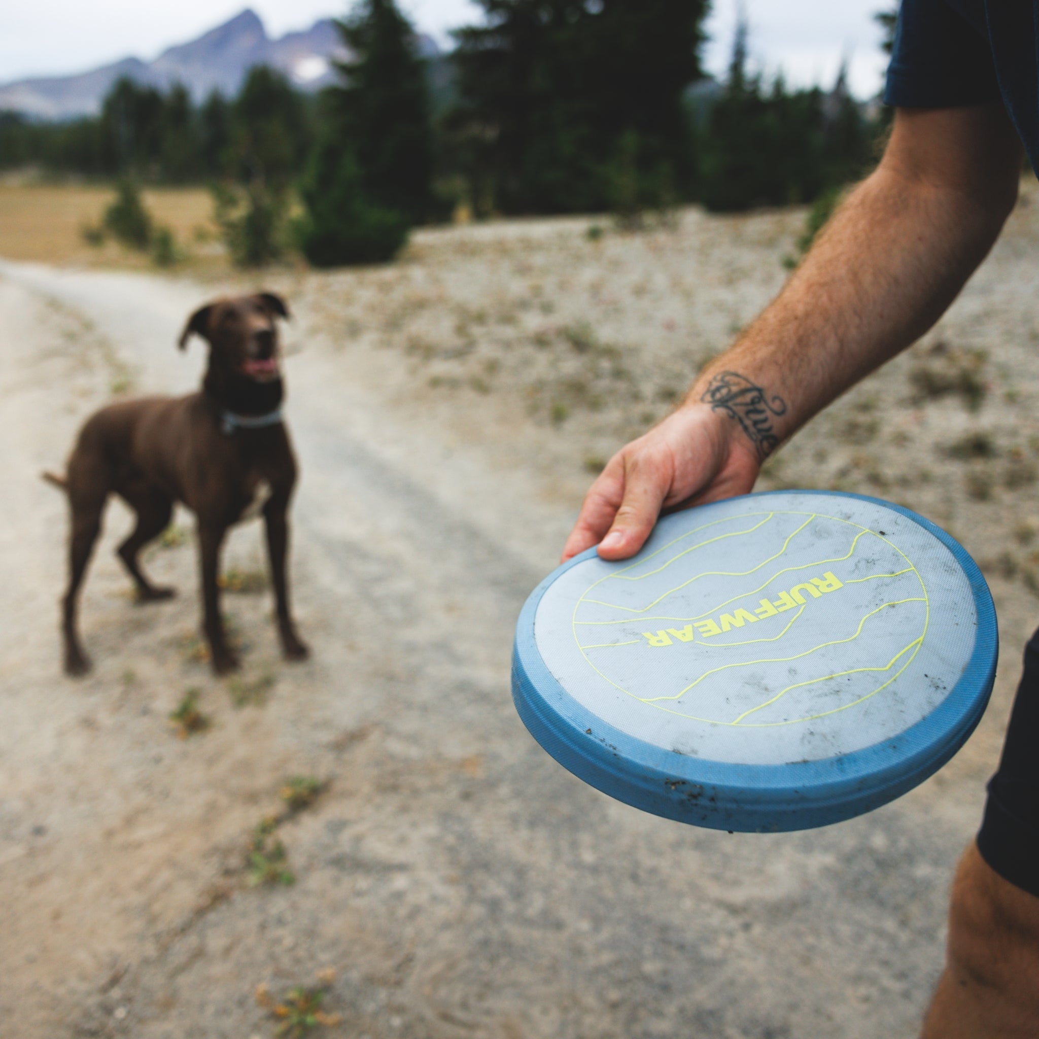 Ruffwear Camp Flyer – Premium Frisbee für Hunde, schwimmfähig, weich &amp; robust für Apportier - Abenteuer am Wasser &amp; Land - Woofshack