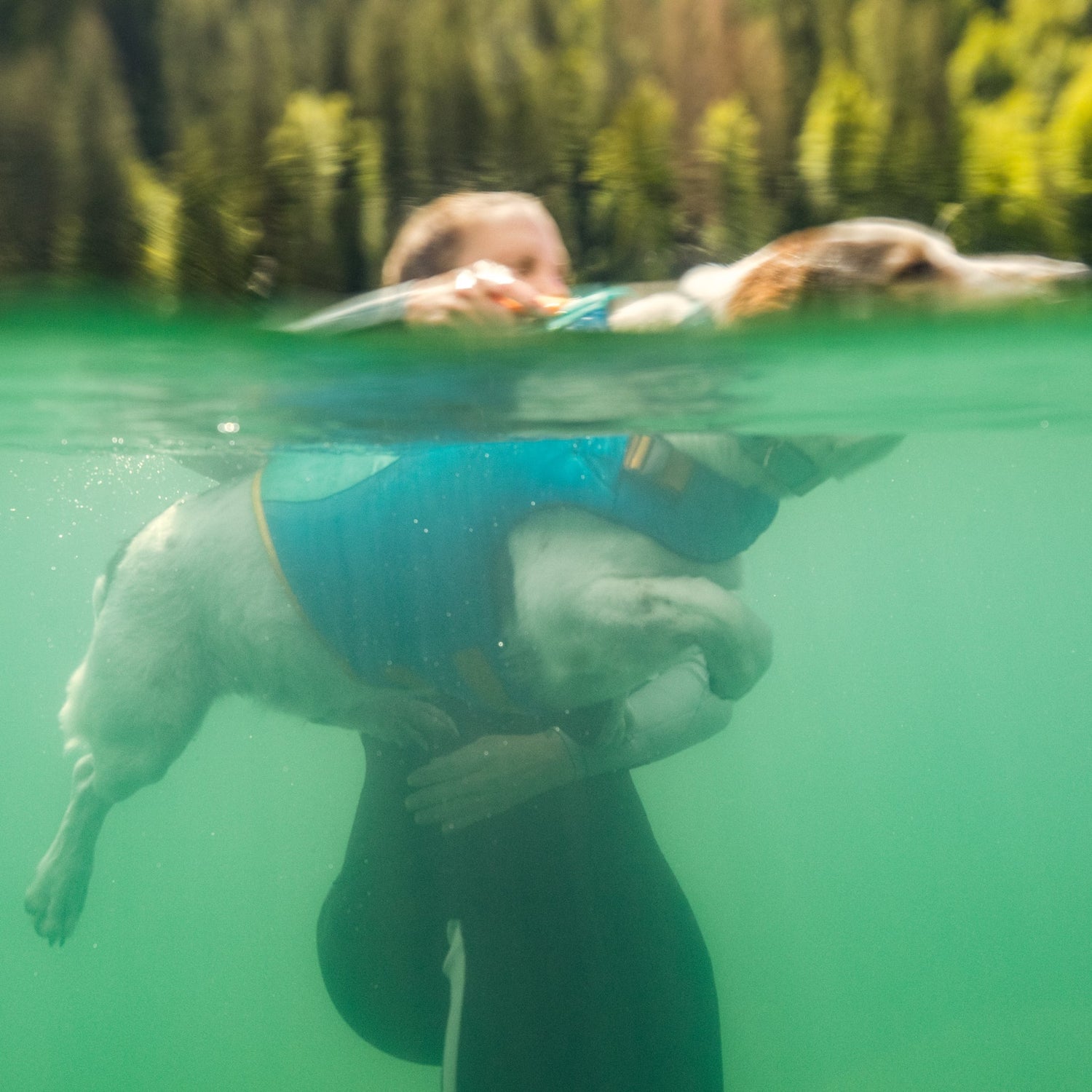 Ruffwear Confluence Collar – Wasserdichtes, geruchsneutrales Hundehalsband mit Reflektoren - Woofshack