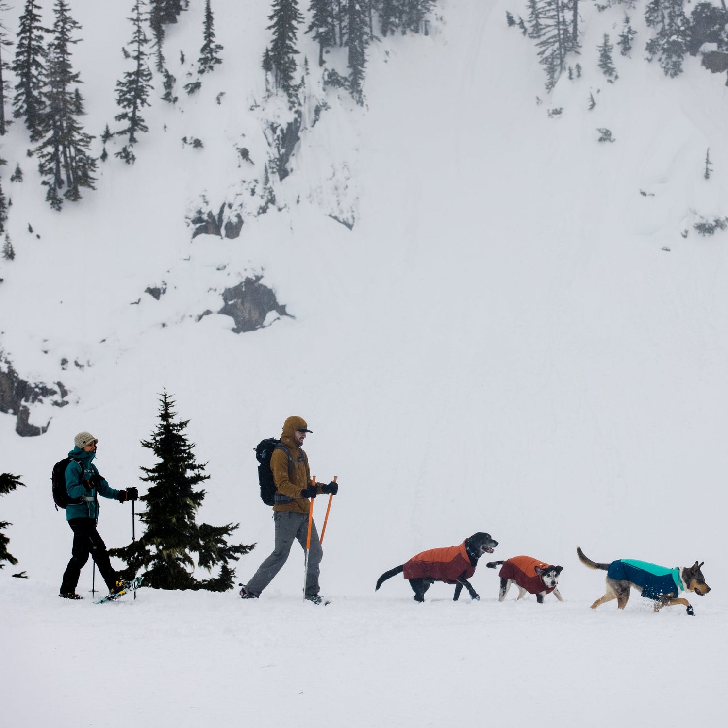 Ruffwear Confluence Collar – Wasserdichtes, geruchsneutrales Hundehalsband mit Reflektoren - Woofshack