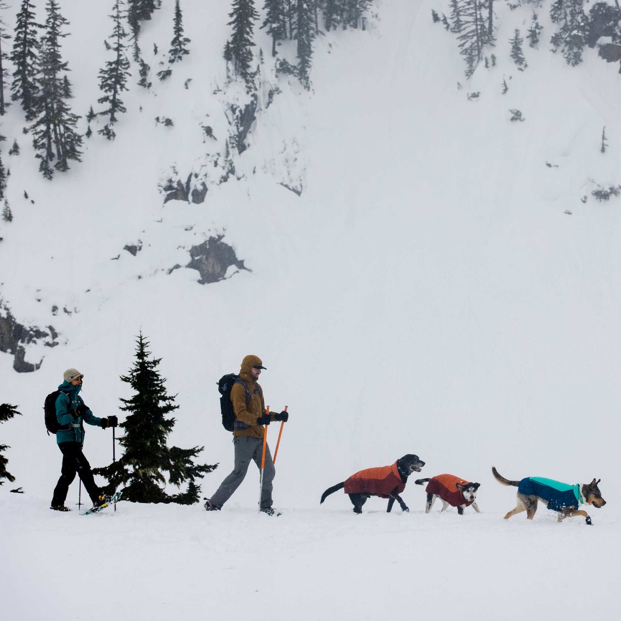 Ruffwear Confluence Collar – Wasserdichtes, geruchsneutrales Hundehalsband mit Reflektoren - Woofshack