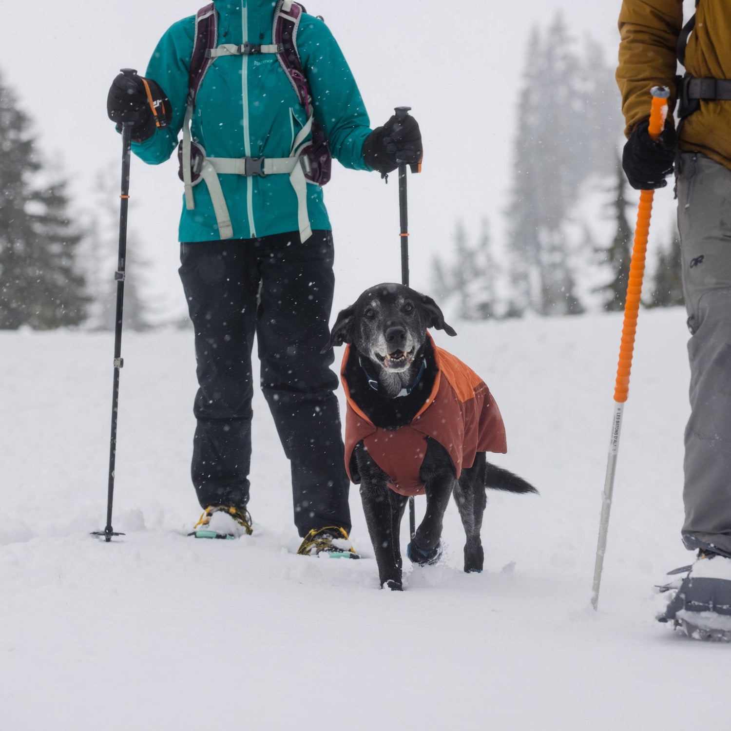 Ruffwear Confluence Collar – Wasserdichtes, geruchsneutrales Hundehalsband mit Reflektoren - Woofshack
