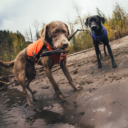 Ruffwear Confluence Schwimmweste – Sicherheit &amp; Auftrieb für Wasserabenteuer mit deinem Hund - Woofshack