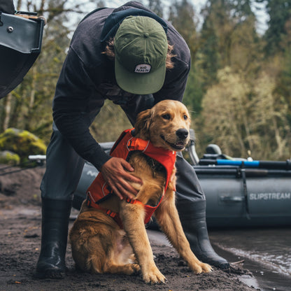 Ruffwear Confluence Schwimmweste – Sicherheit &amp; Auftrieb für Wasserabenteuer mit deinem Hund - Woofshack