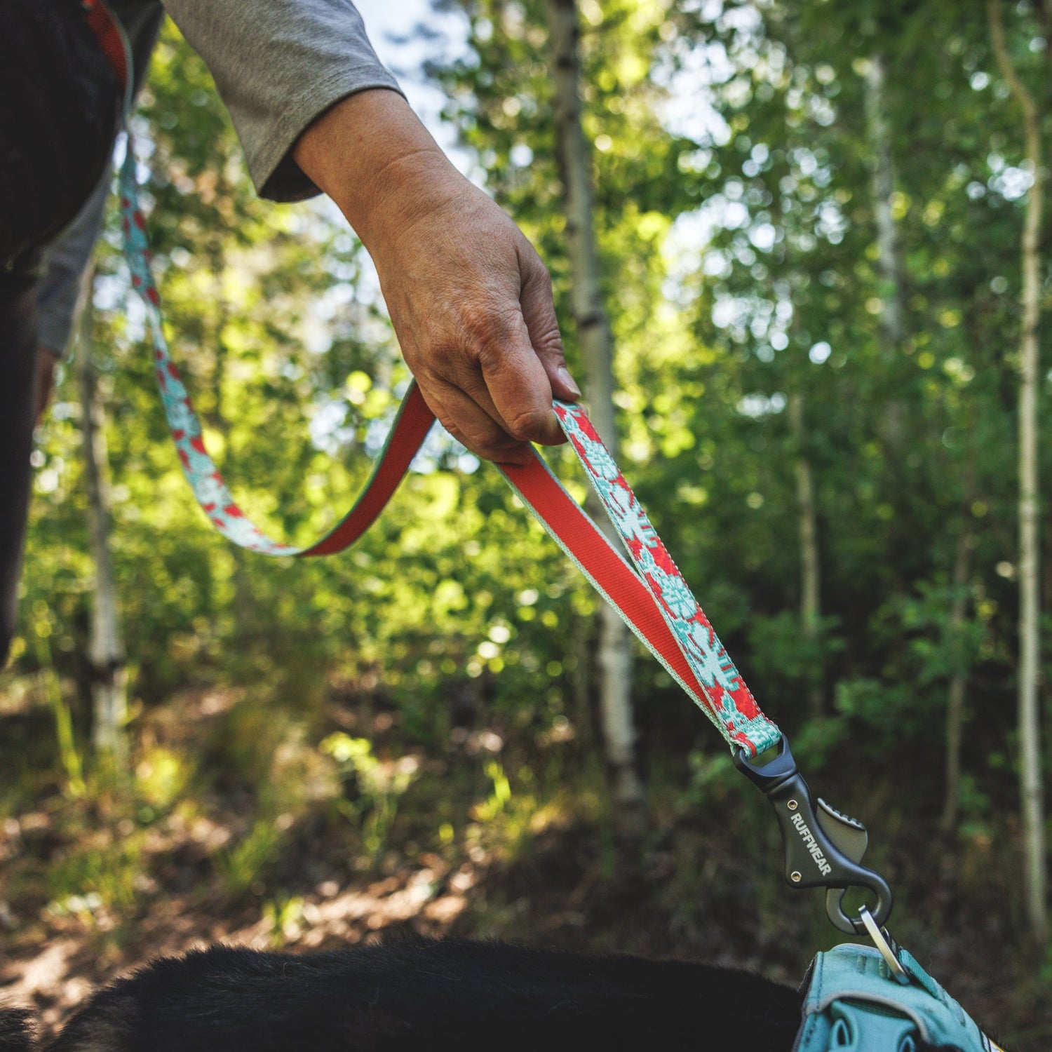 Ruffwear Crag Leash – Strapazierfähige Outdoor-Hundeleine für Wanderungen, Klettern &amp; Abenteuer mit deinem Hund - Woofshack
