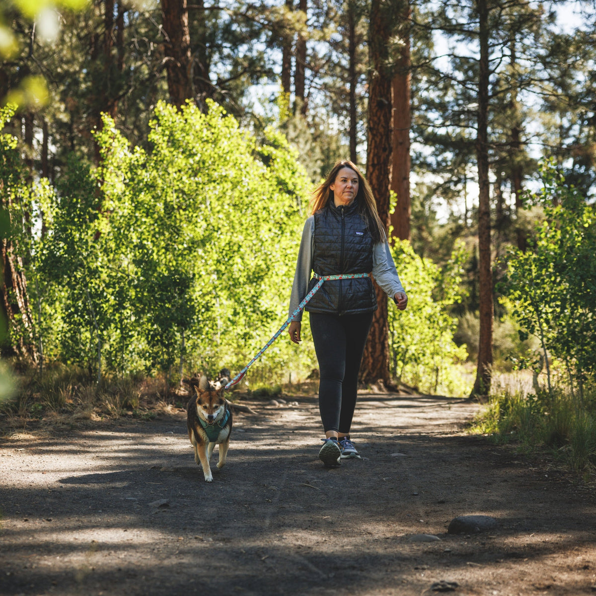 Ruffwear Crag Leash – Strapazierfähige Outdoor-Hundeleine für Wanderungen, Klettern &amp; Abenteuer mit deinem Hund - Woofshack