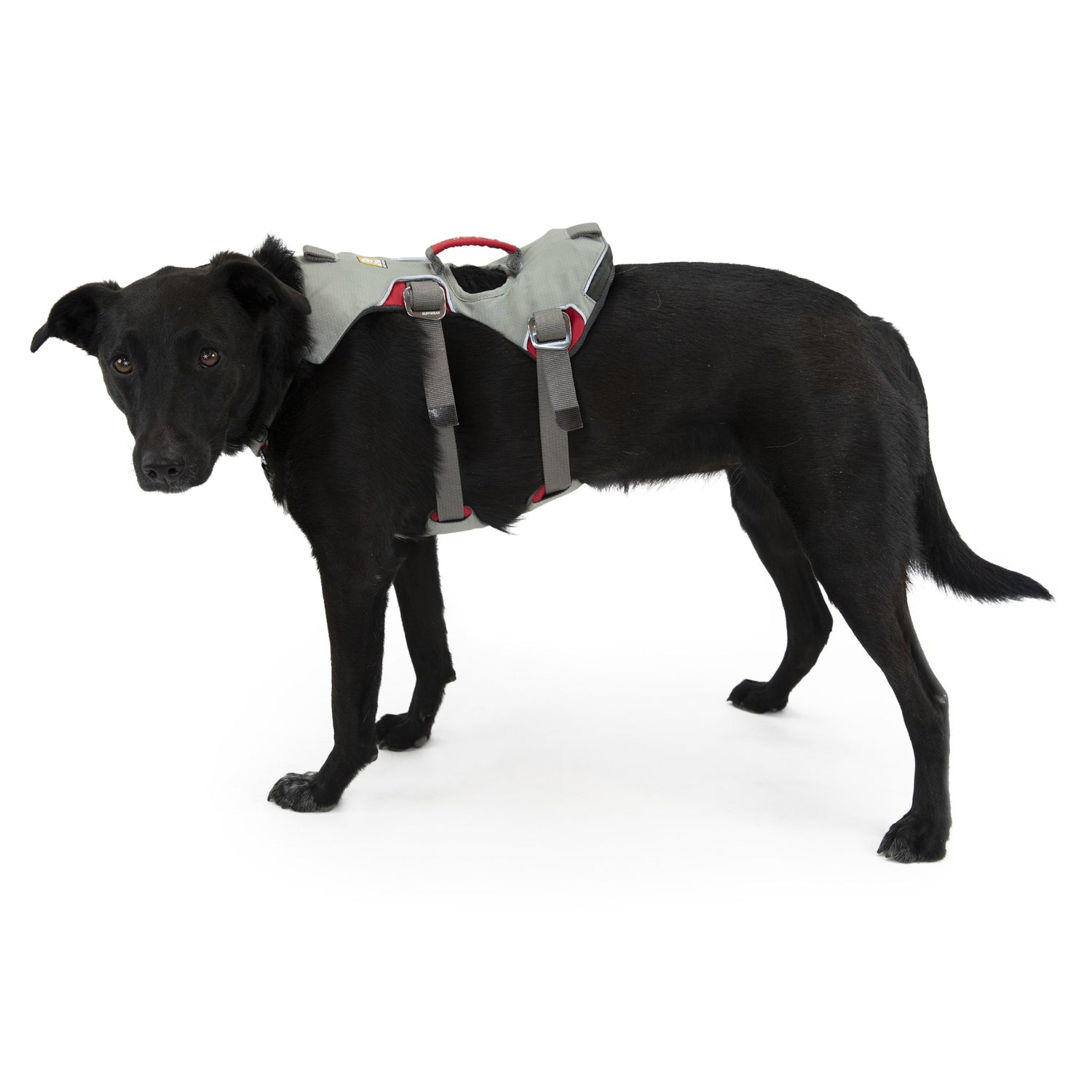 Ruffwear Doubleback Harness – Professionelles Abseilgeschirr für Hunde beim Klettern &amp; Bergsteigen - Woofshack