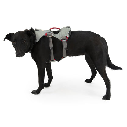 Ruffwear Doubleback Harness – Professionelles Abseilgeschirr für Hunde beim Klettern &amp; Bergsteigen - Woofshack