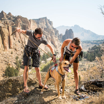 Ruffwear Doubleback Harness – Professionelles Abseilgeschirr für Hunde beim Klettern &amp; Bergsteigen - Woofshack