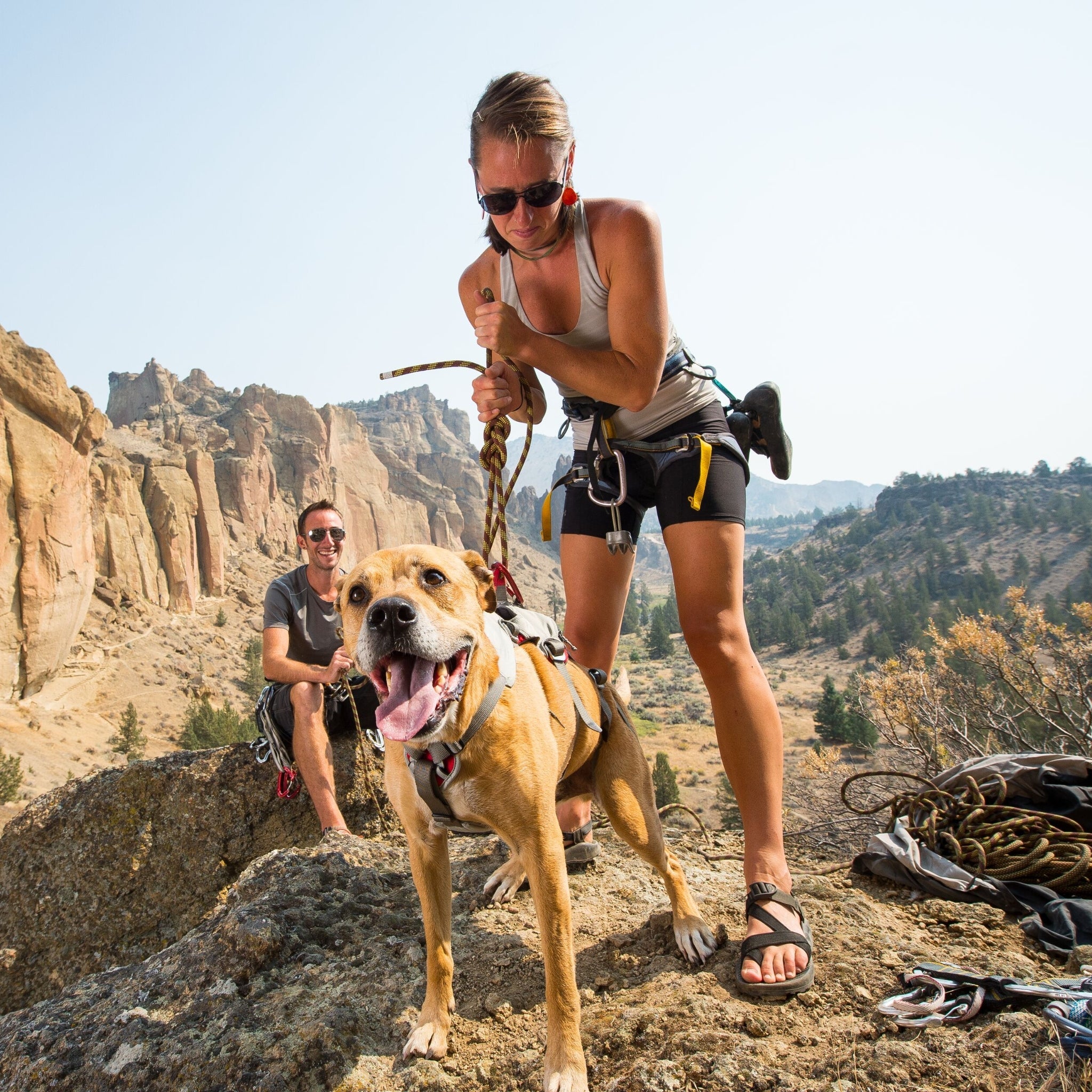 Ruffwear Doubleback Harness – Professionelles Abseilgeschirr für Hunde beim Klettern &amp; Bergsteigen - Woofshack