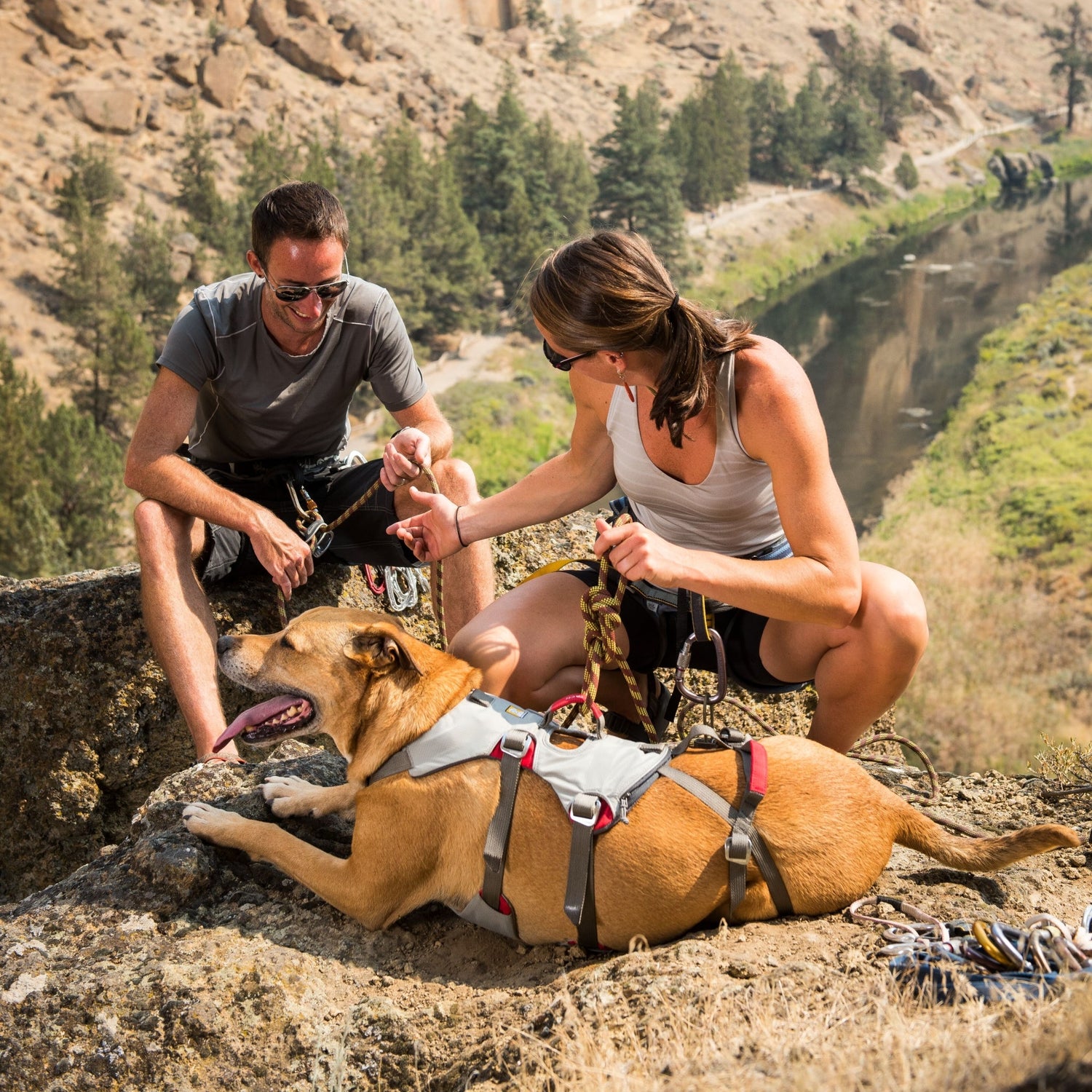 Ruffwear Doubleback Harness – Professionelles Abseilgeschirr für Hunde beim Klettern &amp; Bergsteigen - Woofshack