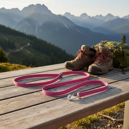 Ruffwear Flagline Leash – Premium Hundeleine aus wetterfestem Material für Abenteuer und Alltag - Woofshack