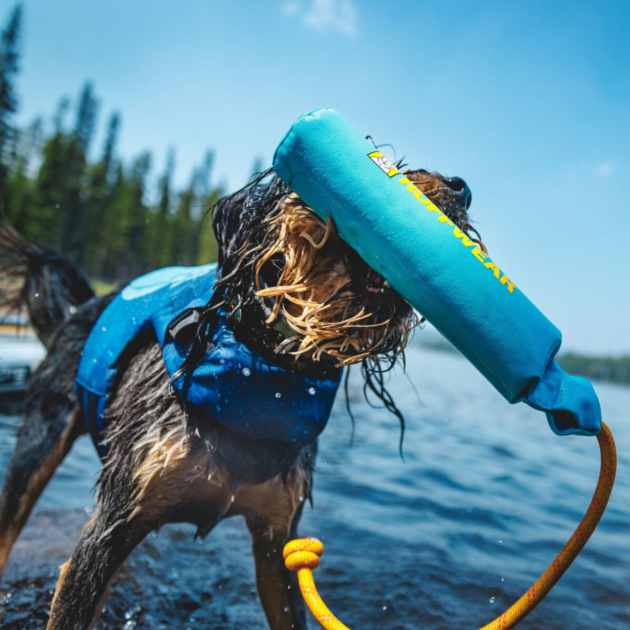 Ruffwear Float Coat Hundeschwimmweste – Maximaler Auftrieb &amp; Rettungsgriff für sicheres Schwimmen, Wassersport &amp; Bootstouren mit deinem Hund
