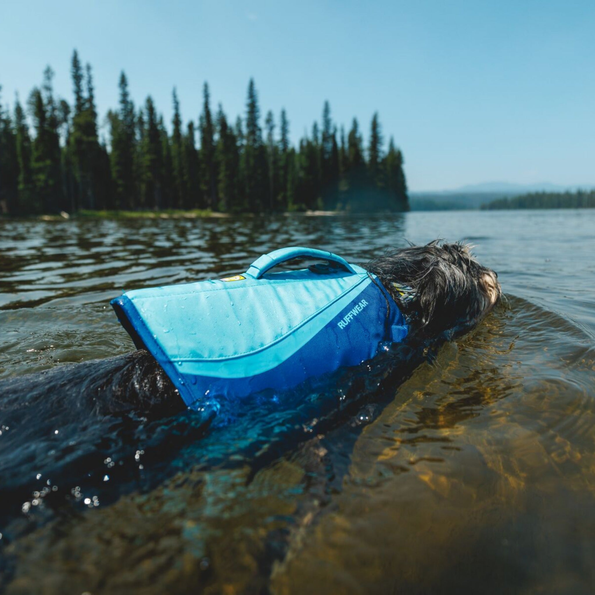 Ruffwear Float Coat Hundeschwimmweste – Maximaler Auftrieb &amp; Rettungsgriff für sicheres Schwimmen, Wassersport &amp; Bootstouren mit deinem Hund