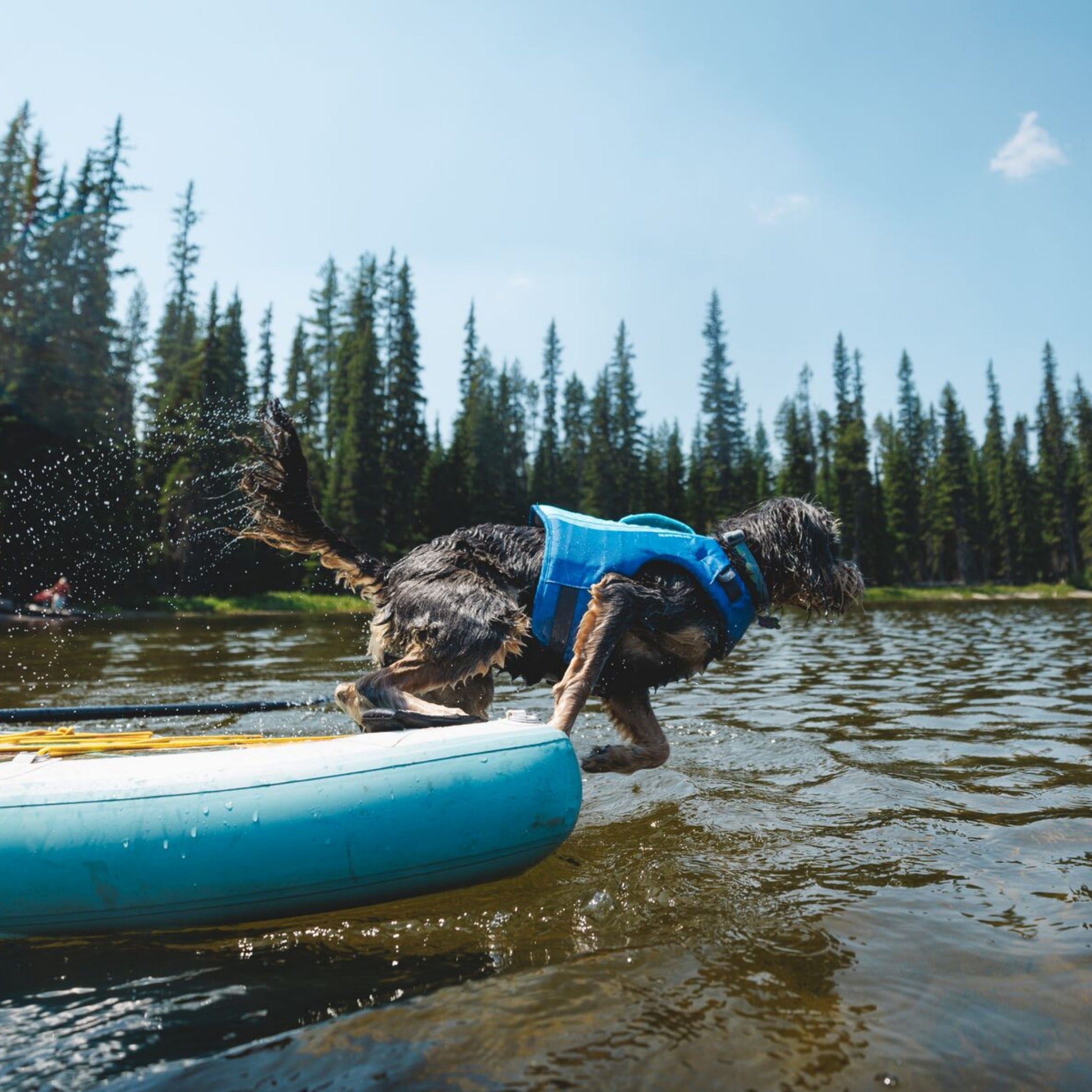 Ruffwear Float Coat Hundeschwimmweste – Maximaler Auftrieb &amp; Rettungsgriff für sicheres Schwimmen, Wassersport &amp; Bootstouren mit deinem Hund