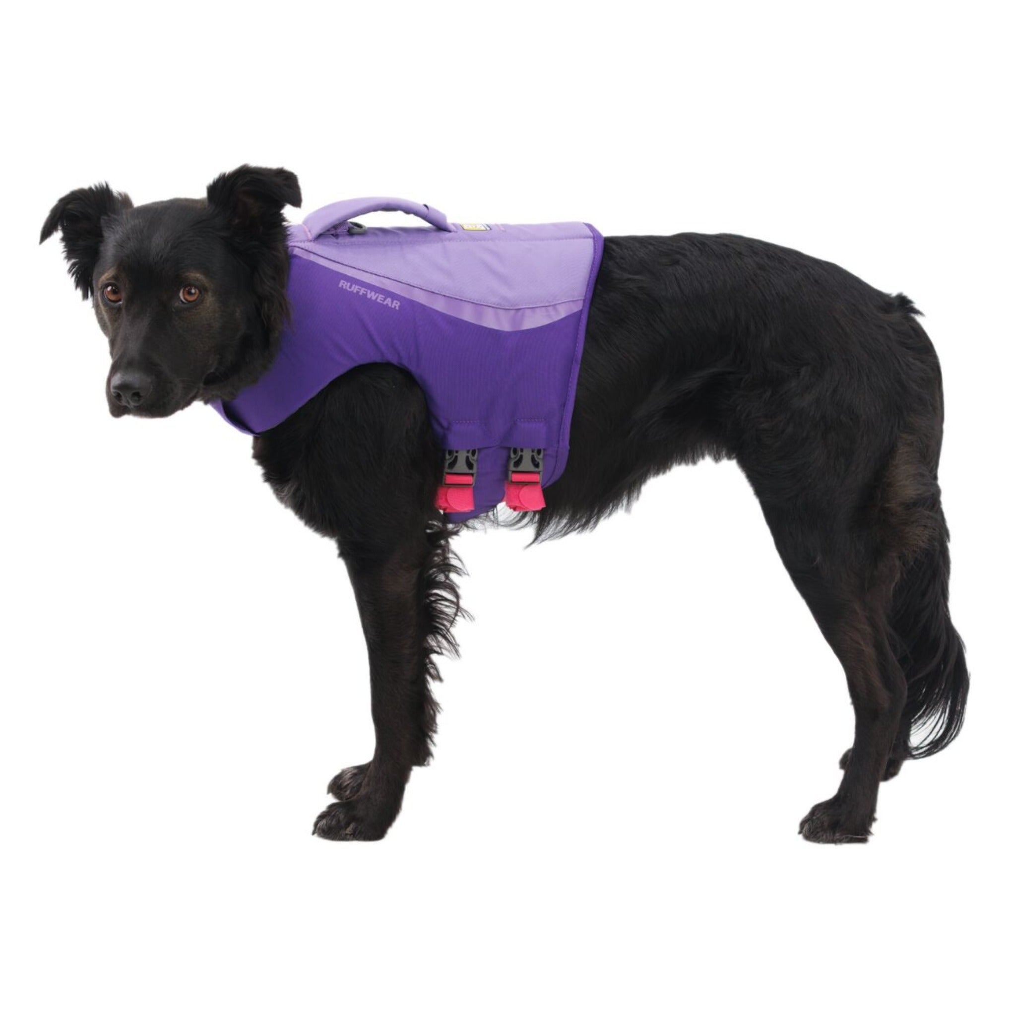 Ruffwear Float Coat Hundeschwimmweste – Maximaler Auftrieb &amp; Rettungsgriff für sicheres Schwimmen, Wassersport &amp; Bootstouren mit deinem Hund