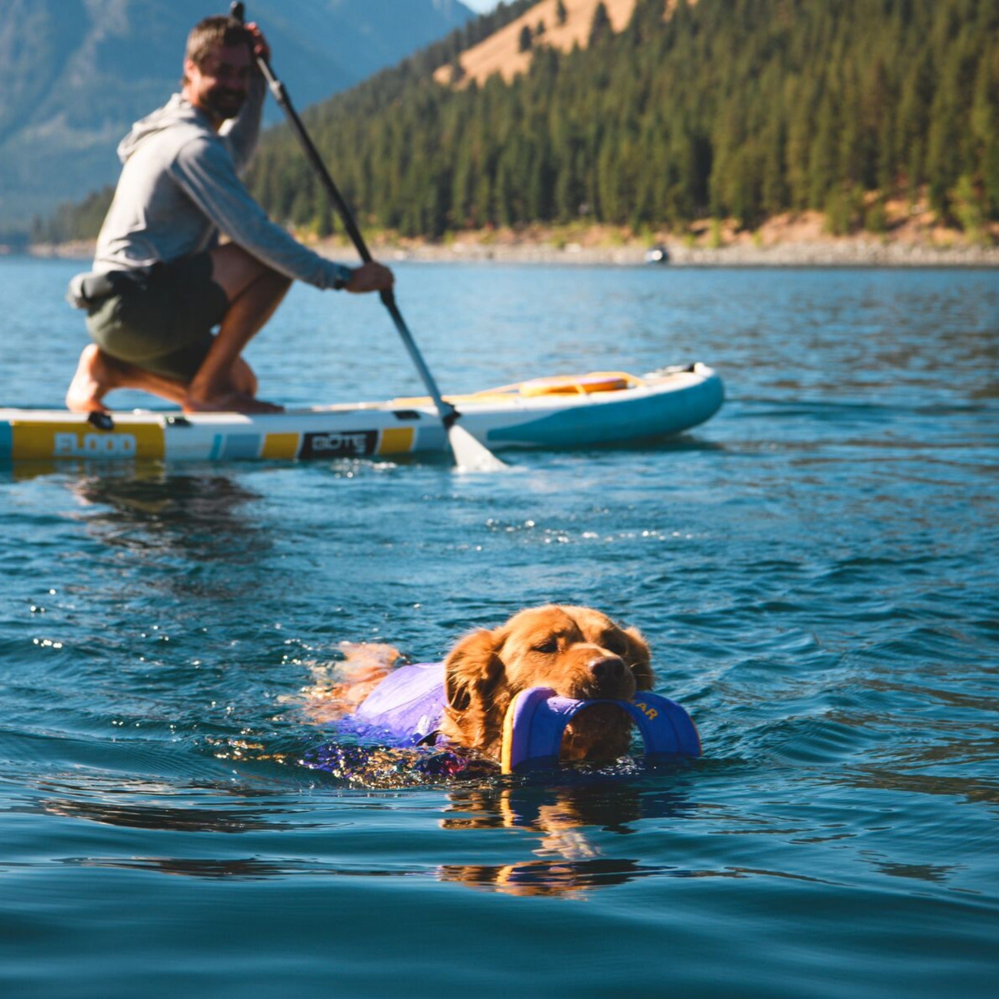 Ruffwear Float Coat Hundeschwimmweste – Maximaler Auftrieb &amp; Rettungsgriff für sicheres Schwimmen, Wassersport &amp; Bootstouren mit deinem Hund