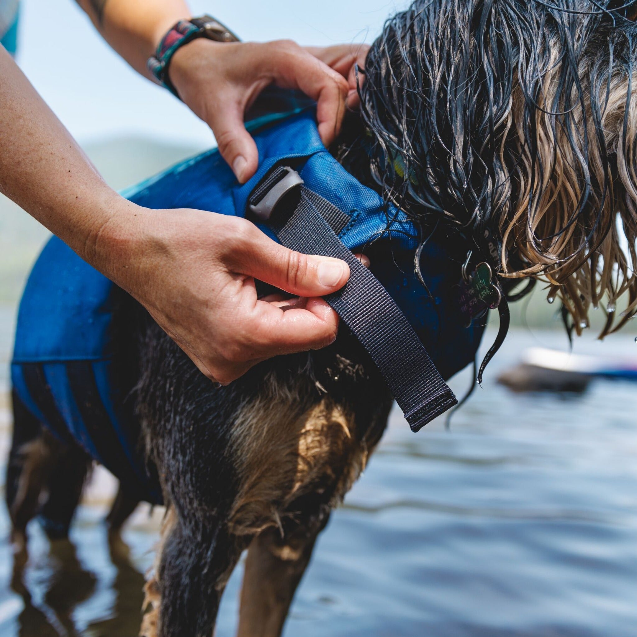 Ruffwear Float Coat Hundeschwimmweste – Maximaler Auftrieb &amp; Rettungsgriff für sicheres Schwimmen, Wassersport &amp; Bootstouren mit deinem Hund