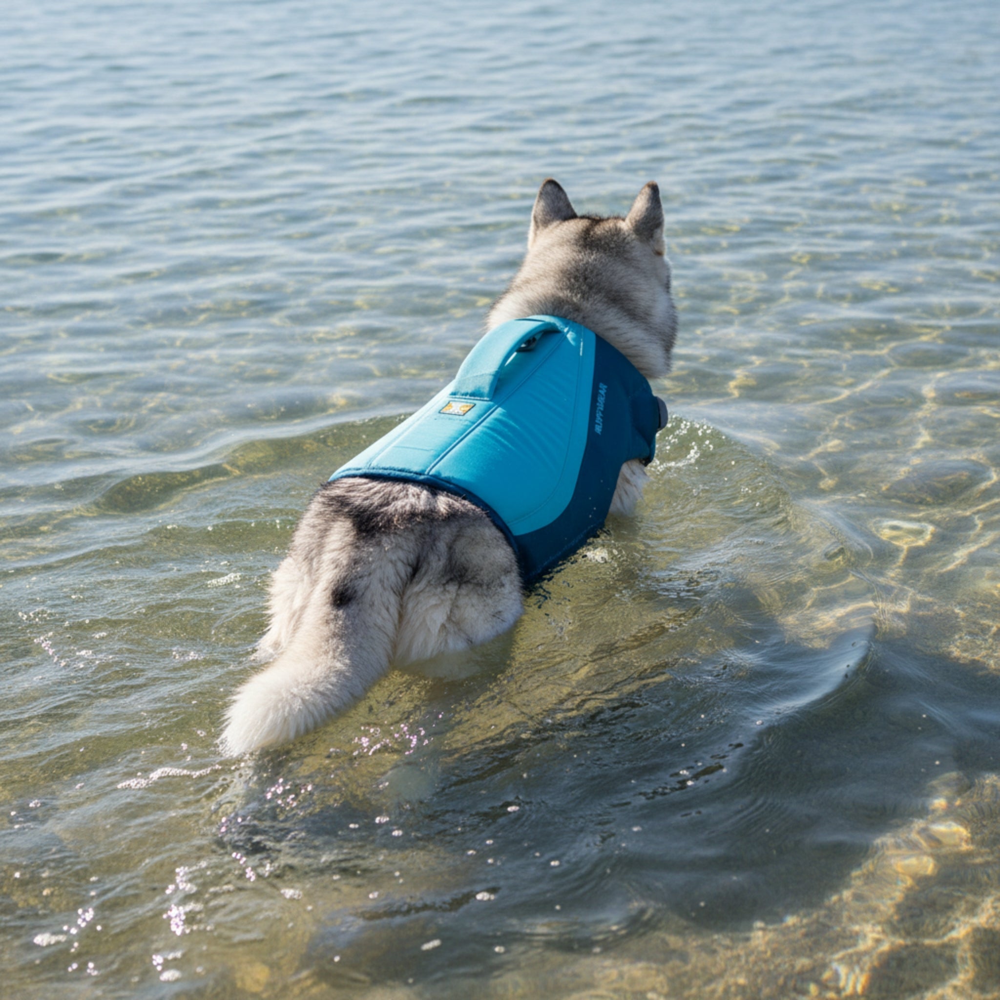 Ruffwear Float Coat Hundeschwimmweste – Maximaler Auftrieb &amp; Rettungsgriff für sicheres Schwimmen, Wassersport &amp; Bootstouren mit deinem Hund - Woofshack