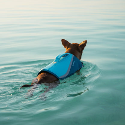 Ruffwear Float Coat Hundeschwimmweste – Maximaler Auftrieb &amp; Rettungsgriff für sicheres Schwimmen, Wassersport &amp; Bootstouren mit deinem Hund - Woofshack