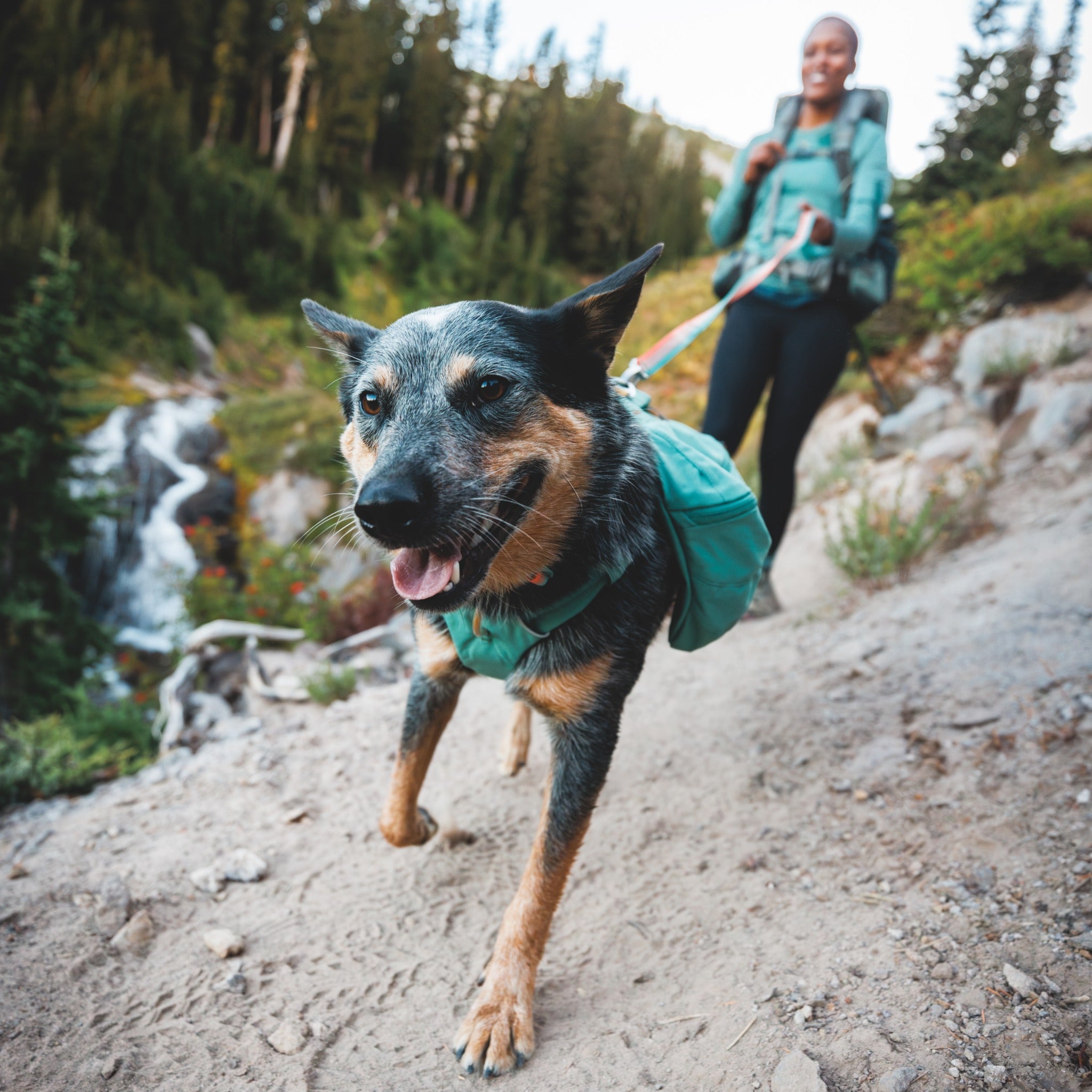 Ruffwear Front Range Collar – Verstellbares Premium-Hundehalsband für aktive Hunde mit gepolstertem Komfort und robuster Verarbeitung