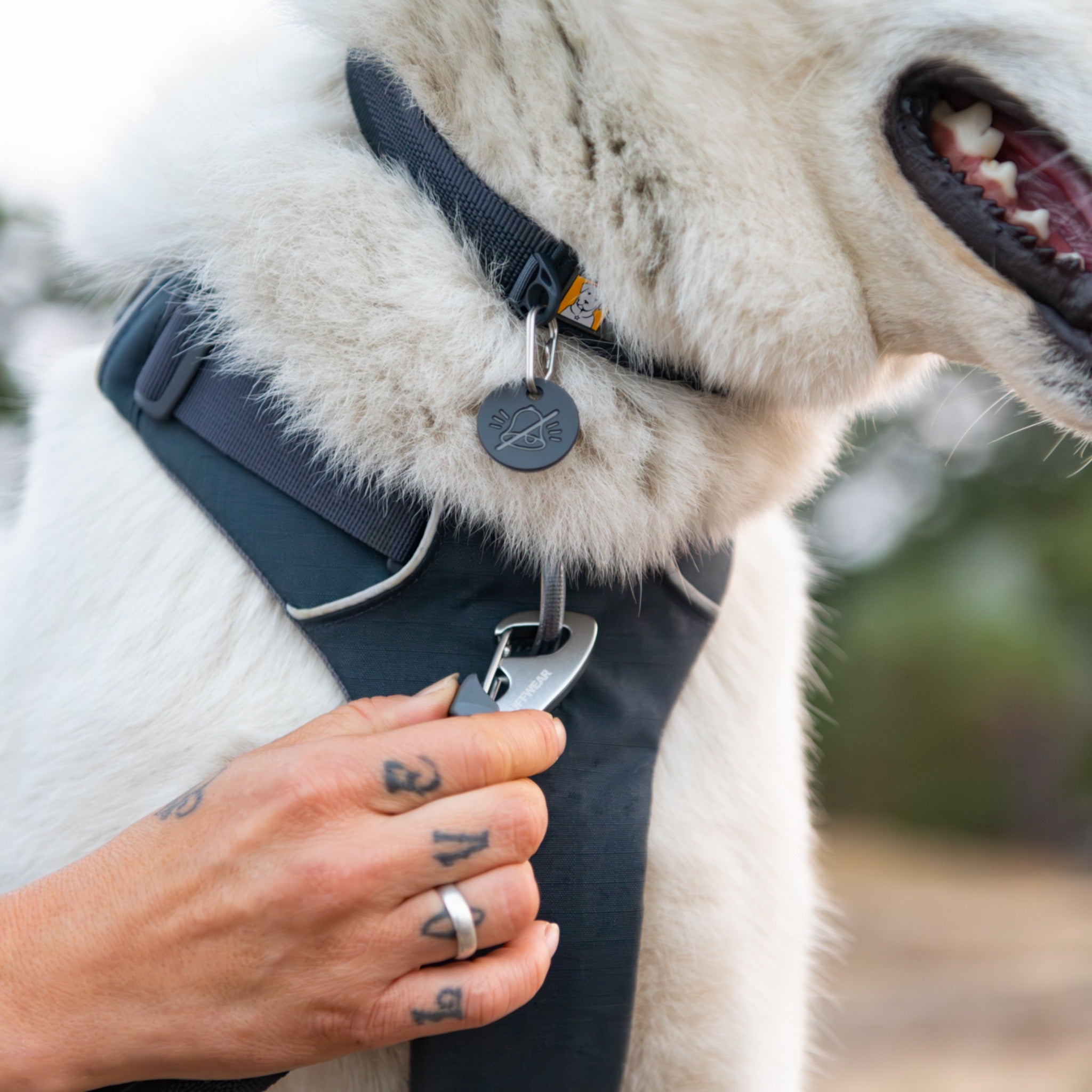 Ruffwear Front Range Collar – Verstellbares Premium-Hundehalsband für aktive Hunde mit gepolstertem Komfort und robuster Verarbeitung