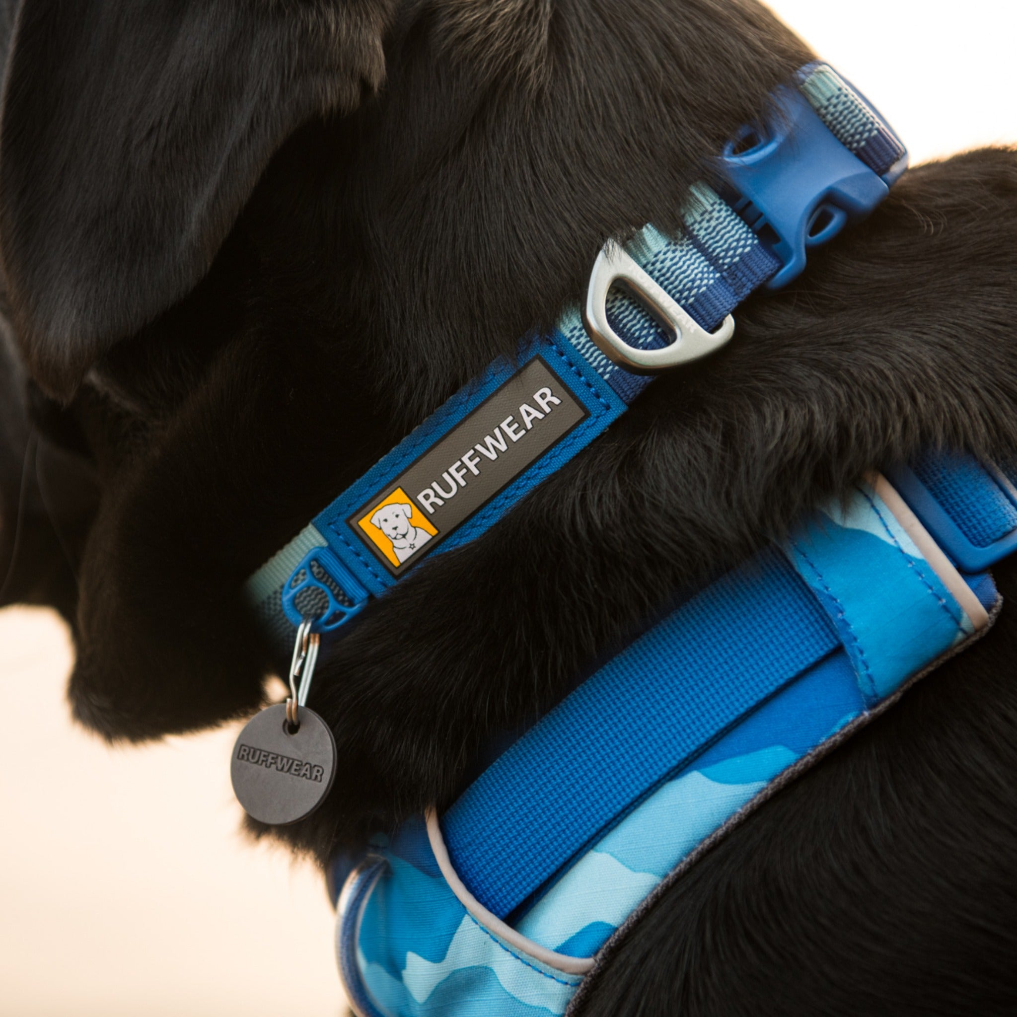 Ruffwear Front Range Collar – Verstellbares Premium-Hundehalsband für aktive Hunde mit gepolstertem Komfort und robuster Verarbeitung