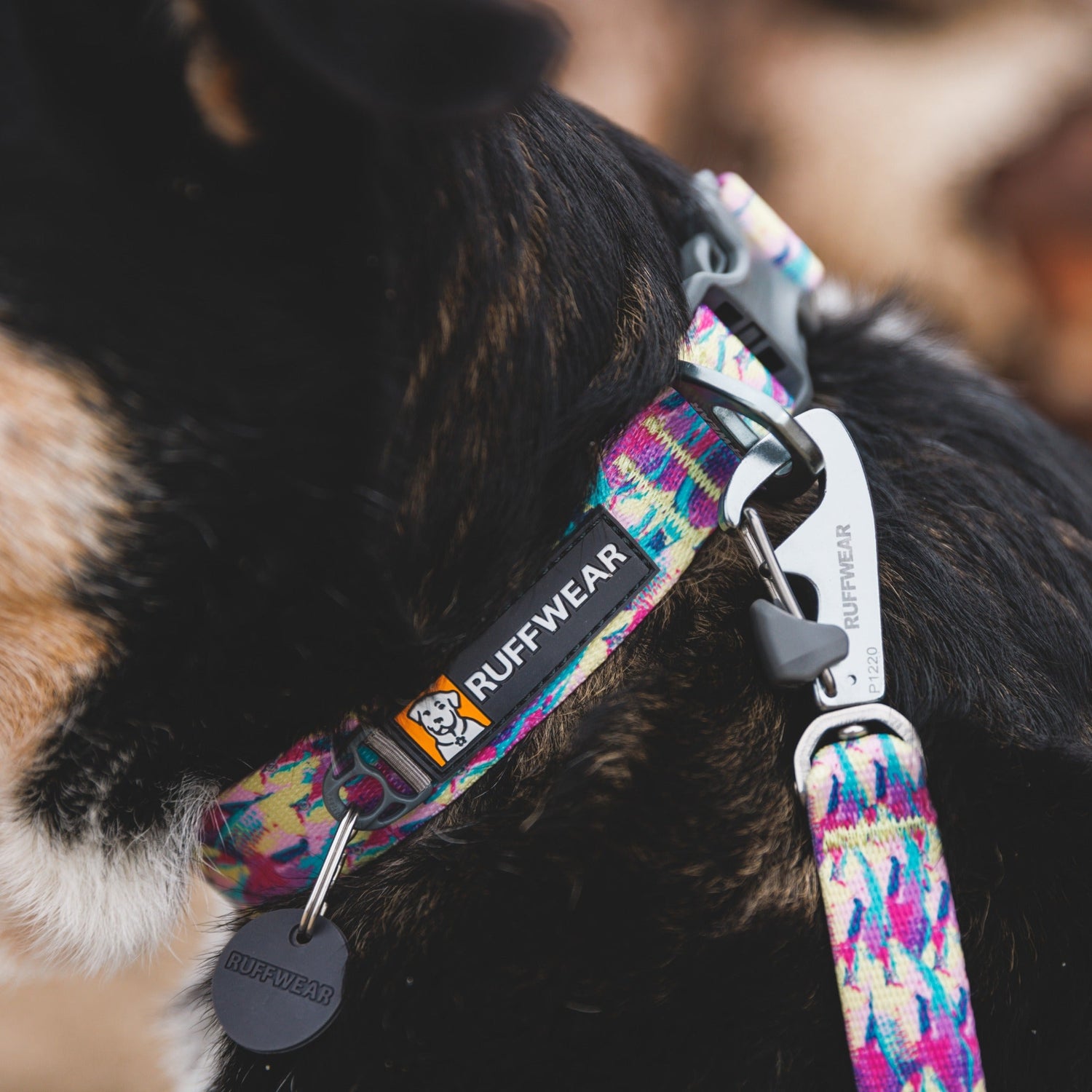 Ruffwear Front Range Halsband | Robust & Verstellbar Ruffwear Front Range Halsband | Robust & Verstellbar